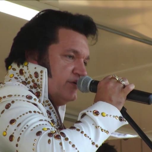 A-Ray of Elvis - Tribute to Elvis